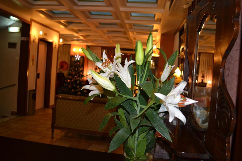 Hotel Katerina เอเธนส์ ภายนอก รูปภาพ